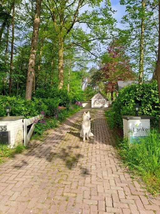 Lanke Garden Studio Rijsbergen Exterior foto